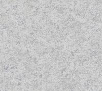 A.S. Creation Attractive 377722 Papier Peint Intissé Uni 10.05 x 0.53 m Gris