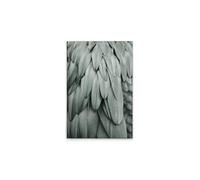A.S. Création DD131753 Impression sur toile moderne Motif plumes Bleu/gris 50 x 75 cm