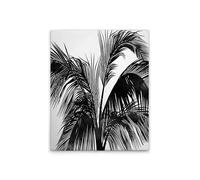 A.S. Création DD131783 Impression sur toile Motif palmiers Noir/blanc 40 x 50 cm