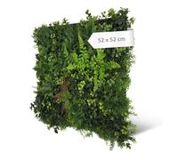 A.S. Création Panneau mural feuillage tropical - Feral Green, 52 × 52 cm | Panneau végétal design fleurs tropicales - sans entretien, luxuriant, pour salon, bureau et entrée