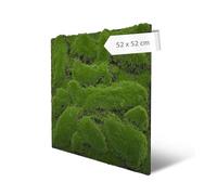 A.S. Création Panneau mural mousse artificielle - Forest Green Big Bulk, 52 × 52 cm