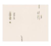 A.S. Création Papier peint à profil structuré Dekora Natur beige multicolore métallisé 10,05 m x 0,53 m 897435