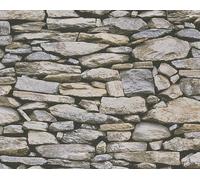 A.S. Création Papier peint Dekora Natur 6, marron, gris, 10,05 m x 0,53 m, 958202, 95820-2