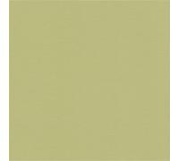 A.S. Création papier peint intissé Anna D'Andrea 390974 10,05 m x 0,53 m vert