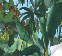A.S. Création Papier peint jungle The Wallcover 385841 pour meubles 8.4 x 0.53 m