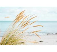 A.S. Création Papier peint Sand Dunes 3,75 m x 2,50 m - WALLLOVE Papier peint plage en beige, bleu y compris colle - DD129607