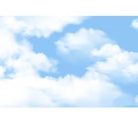 A.S. Création Papier peint Sky 3,75 m x 2,50 m - WALLLOVE papier peint nuage bleu, blanc y compris colle - DD129590