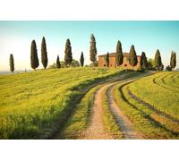 A.S. Création Papier peint Toscana 3,75 m x 2,50 m - WALLLOVE Papier peint Champ avec arbres en vert, marron, bleu y compris colle - DD129579