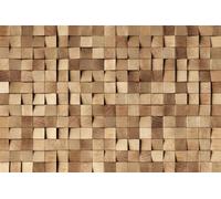 A.S. Création Papier peint Wood Graphics 3,75 m x 2,50 m - WALLLOVE Papier peint bois Graphique en marron colle incluse - DD129582