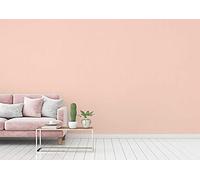 A.S. Création Papier Peints Uni Attractive intissé 10.05 m x 0.53 m Rosé Fabriqué en Allemagne 378255 3782-55