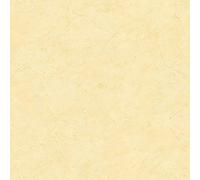 A.S. Création | Styleguide Nat | 992536 | Papier peint | Uni | 10.05 x 0.53 m | Jaune