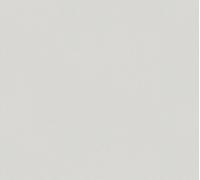 A.S. Création Unitapete Trendwall 2 papier peint uni papier peint intissé gris 10,05 m x 0,53 m