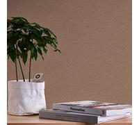 A.S. Création WTD 389262 Papier peint intissé uni Marron Terra 10,05 x 0,53 m