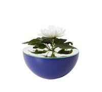 A2 Vase Poem bleu