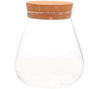 Abaodam Bocal en Verre Épais Design Créatif Élégant Facile à Nettoyer Bouchon en Bois pour Plantes Micro-paysagères pour Décoration DIY et Maison