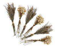 Abaodam Bouquet de Fleurs Séchées Gypsophile 6 Pièces Décoratif Portable en Herbe pour Décoration Intérieure et Fêtes d'anniversaire Couleur Aléatoire