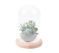 Abaodam Cloche Base en Bois pour Fleurs Préservées Dôme Antidérapant en Verre Transparent D'exposition pour Artisanat Floral DIY et Décoration
