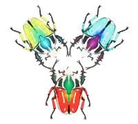 Abaodam Lot de 3 Décorations Murales Insectes en Fer Coloré pour Jardin, Ornements Muraux Suspendus Simulés, Décor Extérieur Résistant et Lumineux, Patio et Pelouse