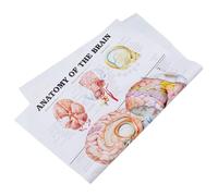 Abaodam Poster D'anatomie du Cerveau Humain Outil Pédagogique sur Toile Police Claire, pour Hôpital et Salle de Classe