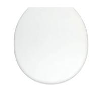 Abattant pour WC sanicompact 43 de SFA frein de chute blanc