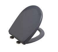 Abattant thermodur frein de chute et déclipsable BEMIS Click & Clean Classic Gris