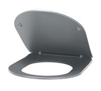 Abattant WC couleur Anthracite universel clipsable/nettoyage facile - lunette de toilettes Thermodur extra plat frein de chute forme D NOYON & THIEBAULT