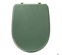 5five Siège de toilette DUO 36 x 49 x 4,5 cm Vert