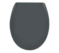Abattant WC - Thermodur - avec Frein de chute - Easy Clip - Gris SPIRELLA