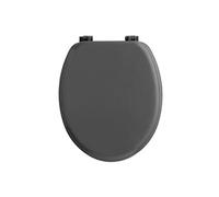 Douceur d'Intérieur Abattant WC Uni Vitamine 45 cm Anthracite