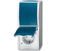 Busch-Jaeger 2601/6/20 EBW 53 Prise combinée SCHUKO avec Interrupteur à Bascule