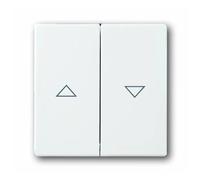 ABB Busch-Jaeger Future/Solo Control Element/Central Plate Switchgear - 2CKA001751A2756