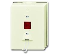ABB Busch-Jaeger Montage en Surface Standard Interrupteur D'installation - 2CKA001315A0449