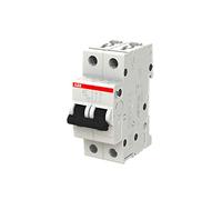 ABB Disjoncteur miniature S202-B6, 2 pôles, type B, capacité de coupure 6/10 kA, courant de 6 A (2CDS252001R0065)
