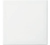 ABB Interrupteur Intelligent Basculant Équilibre Blanc - 2CKA006730A0162 [10 Pièces]