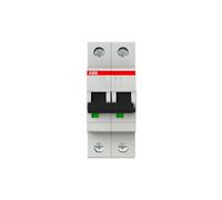 ABB Stotz S&J Disjoncteur automatique S202-C13 6 kA 13 A C 2p System pro M compact Disjoncteur 4016779465809