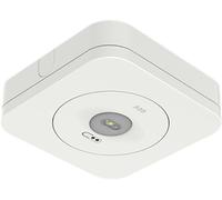 ABB VanLien Movion EL800S LED Lumière D'Urgence - 7TCA305020R0116