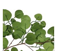 ABCWARRT 3 Pièces/lot Plante Artificielle Vert Feuille D'eucalyptus Vigne Mariage Photographie Arrière-Plan Accessoires Maison Jardin Hôtel Rotin Décoration