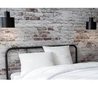 Abeil Lot de 2 Oreillers Acaristop (anti-acariens) 60 x 60 cm, fabriqué en France, Blanc