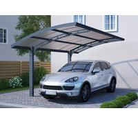 Abri voiture Arizona 4,95 x 3 m Palram - Canopia
