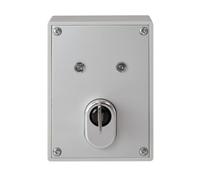 Abus SE1010 Interrupteur vec cylindre de qualité