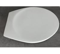 abusanitair Couvercle de WC Extra Thermoplast Blanc avec Charnières Inox