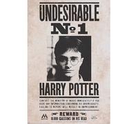 ABYSTYLE Poster Harry Potter (WANTED Harry Potter)