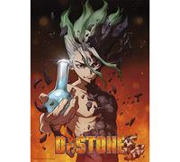 ABYSTYLE Poster sans cadre Dr. Stone Senku 38,1 x 52,1 cm avec manga Senku Anime Décoration murale pour chambre à coucher Cadeau