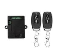 AC 220 V 230 V 250 V Télécommande sans fil 2 canaux Récepteur universel Télécommande sans fil Interrupteur porte de garage Télécommande 10 A Lumière Moteur Relais Sortie (avec 2 télécommandes)