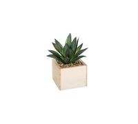 AC-DÉCO Plante artificielle verte H14 cm avec pot carré - Décoration intérieure (modèle aléatoire)