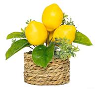 Accarugty, Mini citronnier artificiel en pot de 15 cm pour décoration d'intérieur, bureau, étagère, centre de table de fête de mariage (262990)