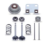 Accessoires pour tondeuses à Gazon Kit de Ressort de retenue de Valve GX160 GX200 for Tondeuse à Gazon GX160 GX200 5,5hp 6,5hp