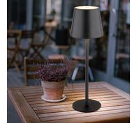 Accumulateur Luminaire Lampe D'Extérieur LED Opale Batterie USB Touch Dimmable