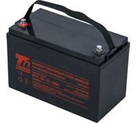 Accumulateur T6 Power NP12-100, 12V, 100Ah