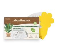 achatnature - Nématodes SF contre mouches des terreaux (3 millions) + 10x pièges jaunes